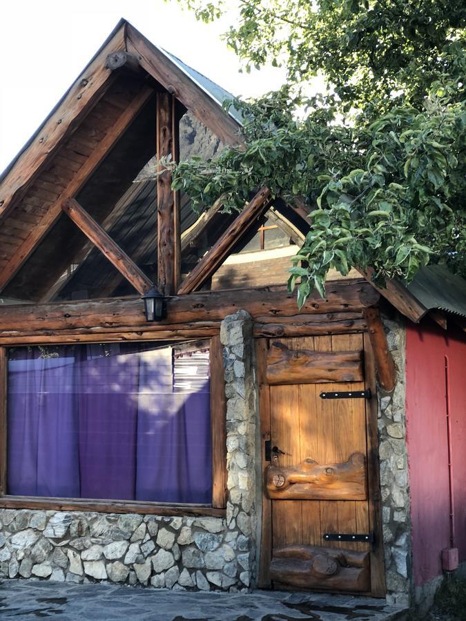 Хостел Cabanas Pehuenia Эль-Больсон Экстерьер фото
